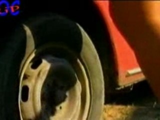 Rado Shisharkata i Popa - Tigre Tigre(by Natali)