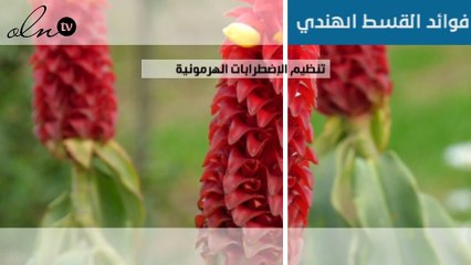 ما هي فوائد القسط الهندي؟