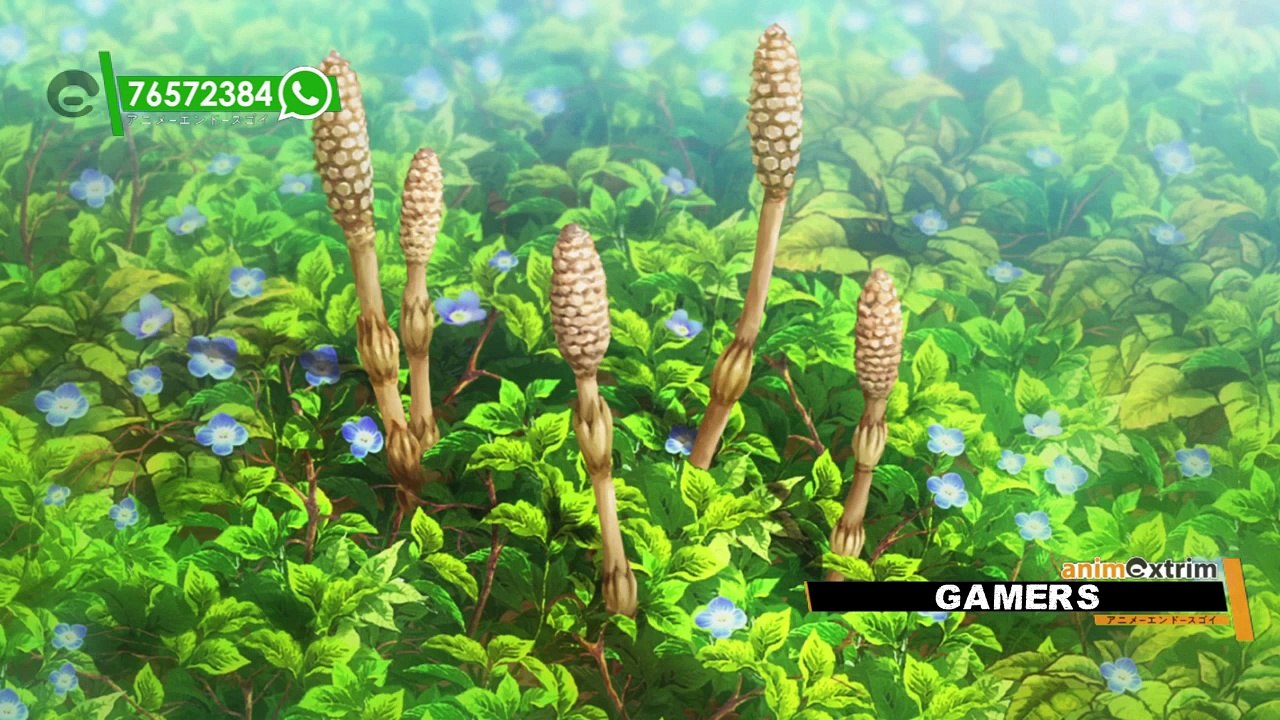 ANIMES EN EMISIÓN - GAMERS!