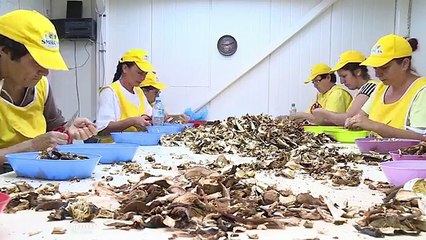 Poljoprivrednici iz Srbije i Turske razgovarali o poboljšanju saradnje