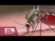 Estos son los síntomas del virus llamado "Zika" / Ricardo Salas