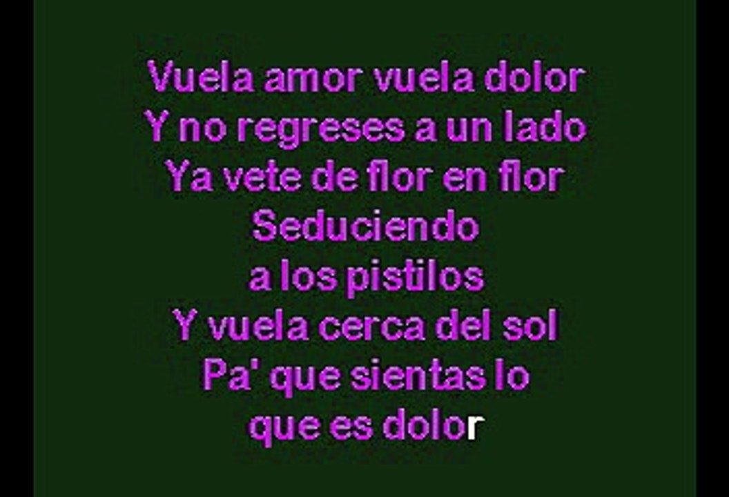 Mana - Mariposa Traicionera (Karaoke)