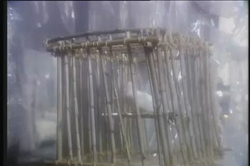 OLIVIA NEWTON-JOHN HEART ATTACK