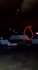 Karachi Mein Barish Ky Doran Ajeeb Makhlooq Dikhai Di Gai