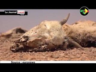 M7TV LE JT 13H30 DU 14 AVRIL 2017