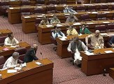Ayesha Gulalai Speech In National Assembly
