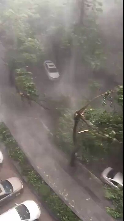 Siêu bão Hato ở Trung Quốc: 3 người thiệt mạng, hàng chục người thương nặng (3)