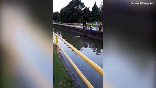 un homme sauve un chien de la noyade en le tirant hors d'un canal