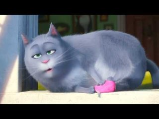 "Box Office ထိပ္ဆံုးေနရာက ဦးေဆာင္ေနတဲ့ The Secret Life of Pets"