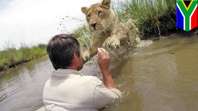 Kevin Richardson: GoPro captures lion whisperer convincing lioness to take leap of faith
