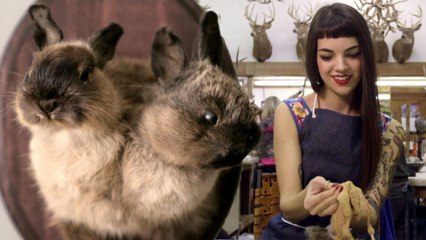 The Young Taxidermist Giving New Life to Dead Animals