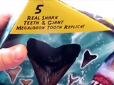 Mega Shark Teeth Kit