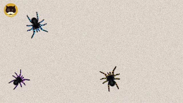 Et chat contagieux chats chiens Divertissement pour des jeux araignées à Il vidéo regarder