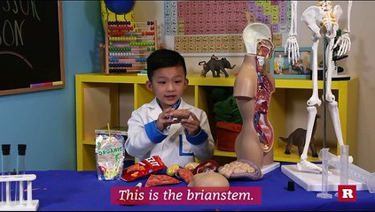 5-year-old Anson Wong's knowledge of the human brain will blow your mind | Anson's Answers