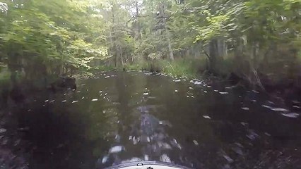 Jet Ski Rider Gets A Fishy Surprise