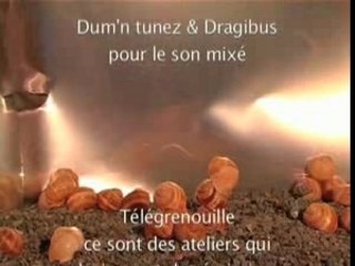 GENERIQUE FIN TELE GRENOUILLE