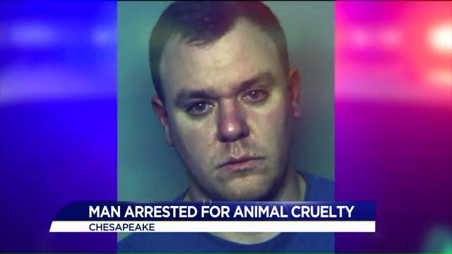 Navy Sailor Arrested on Suspicion of Beating Two Dogs to Death