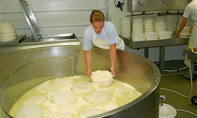 Awesome Technology Cheese Making Process #CHALLENGE