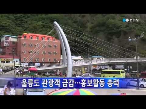 [경북] 울릉도 관광객 급감...홍보활동 총력 / YTN