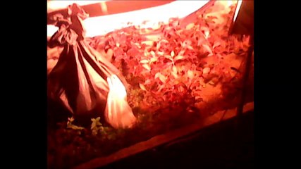 ริวจิตสัมผัสเจนญาณทิพย์หมอปลาถอยไปเพราะเราคือพระศรีอาริยเมตไตรผู้ปลดปล่อยวิญญาณหอญ7มช