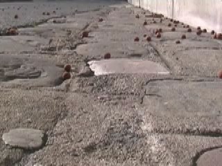 Ruissellement ensnp blois