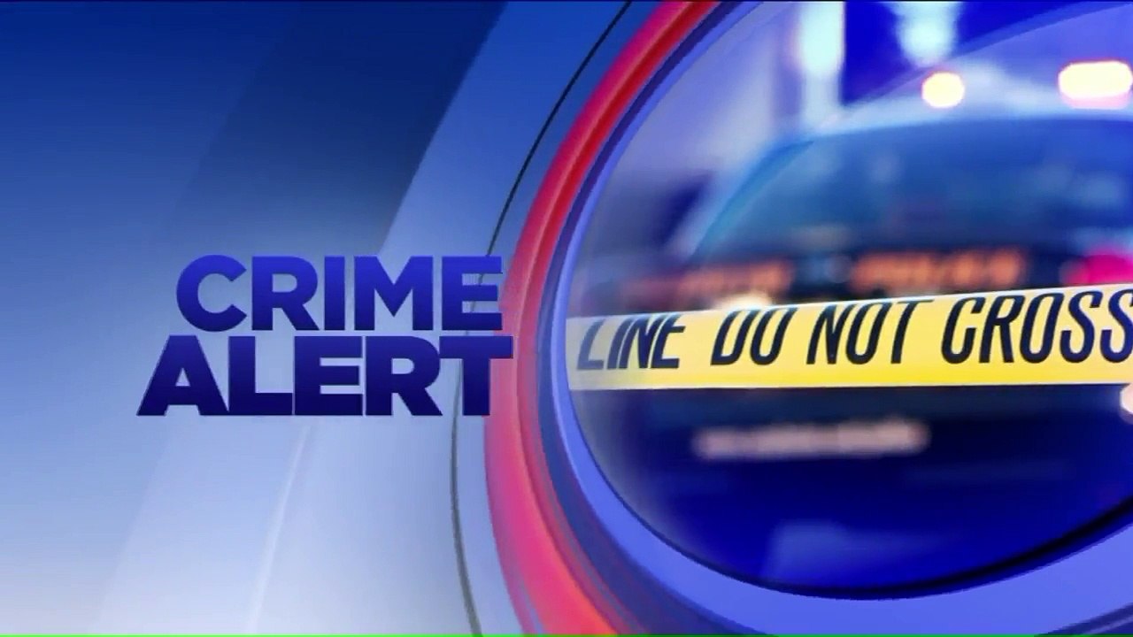 `It Was a Gruesome Sight:` Elderly Woman Mauled by Pack of Dogs in Mississippi