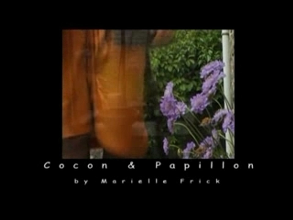 Video 1