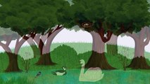 Video para el desarrollo de las aves aves de dibujos animados imagen enseñanza nombres de aves de aves de canto Dete