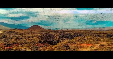 Цунами (Official clip HD2K)