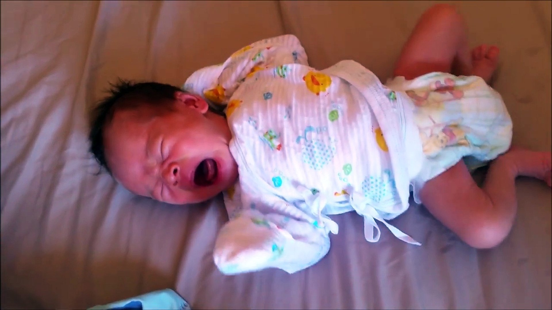 Bebes Caca Dailymotion Video