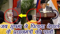Sushma Swaraj went ahead and gave water to Prime Minister of Nepal । वनइंडिया  हिंदी