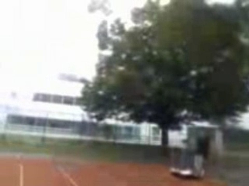 1° vol Honey Bee King 2