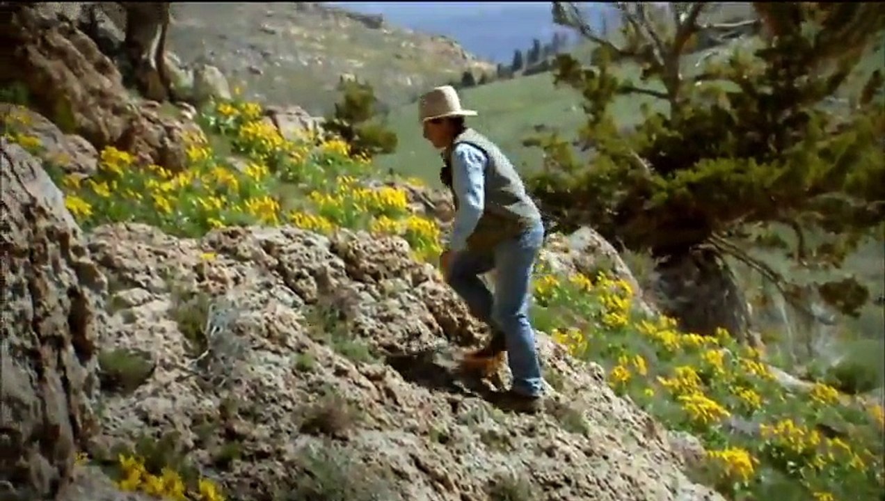 PBS Nature Touching The Wild