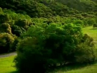 Ballade en voiture