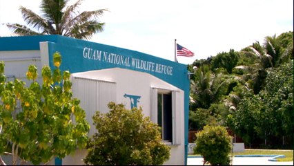 Guam: Mixed reactions to military buildup over NK missile threats