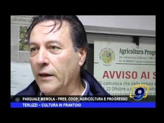 Terlizzi | Cultura in frantoio