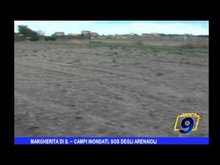 Margherita di Savoia | Campi inondati, SOS degli arenaioli