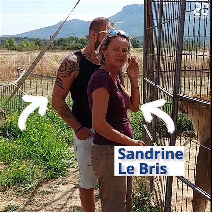 Maison de retraite pour lions et tigres à Trets: Pourquoi le projet est-il bloqué?