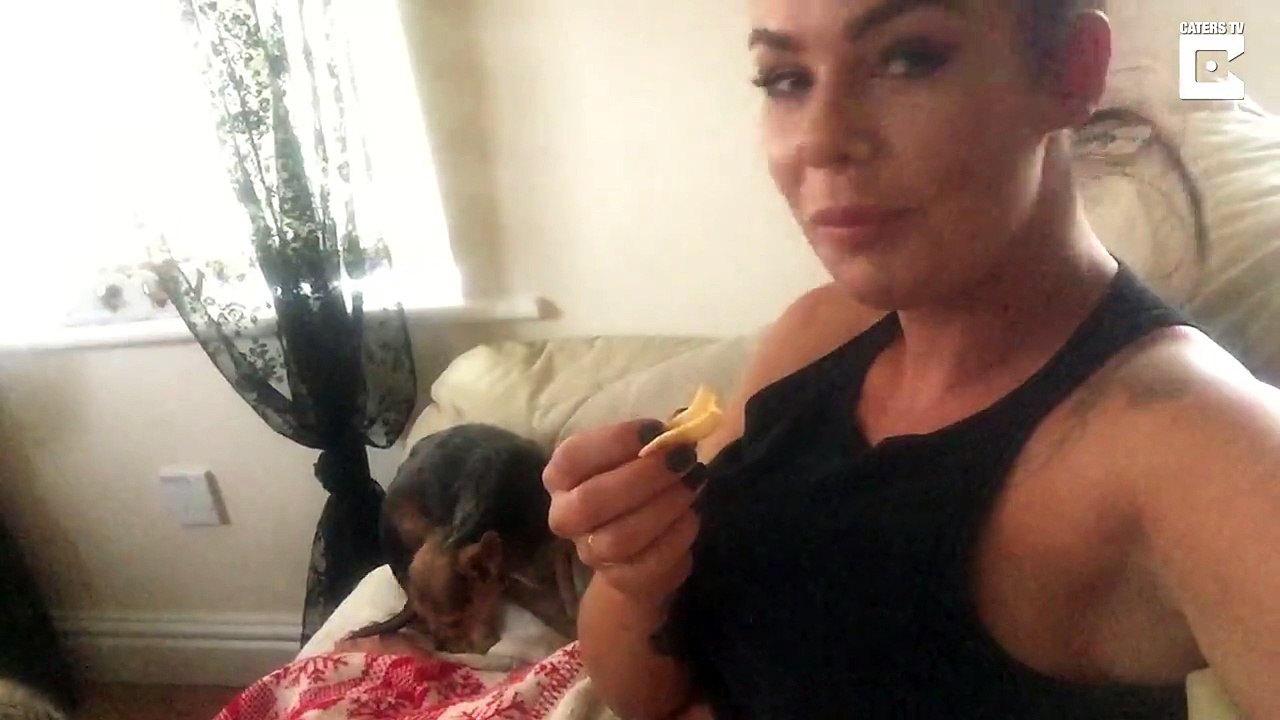Un chien qui essaie de regarder discrètement un...