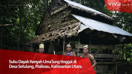 Menjaga Tradisi Hutan Adat Suku Dayak Kenyah