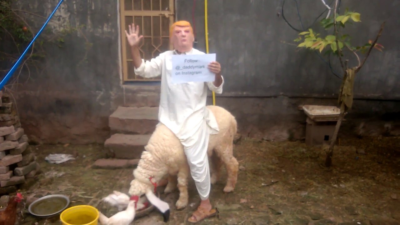Donald Trump Dancing With Sheep