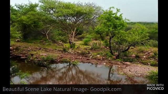 Goodpik- Stock Vector, Psd Elements, Stock Icons, HD PHOTOS