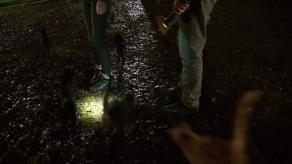 Zoo Season 3 Episode 10 Full: "Once Upon a Time in the Nest" Video HQ