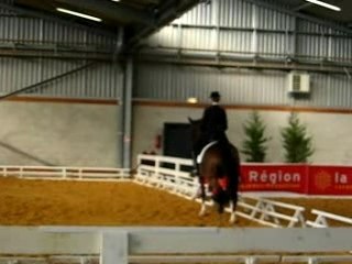 dressage au Salon du Cheval 2007