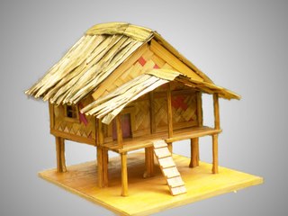 Tree House -চাংঘৰ-Chang ghor/Mising People House