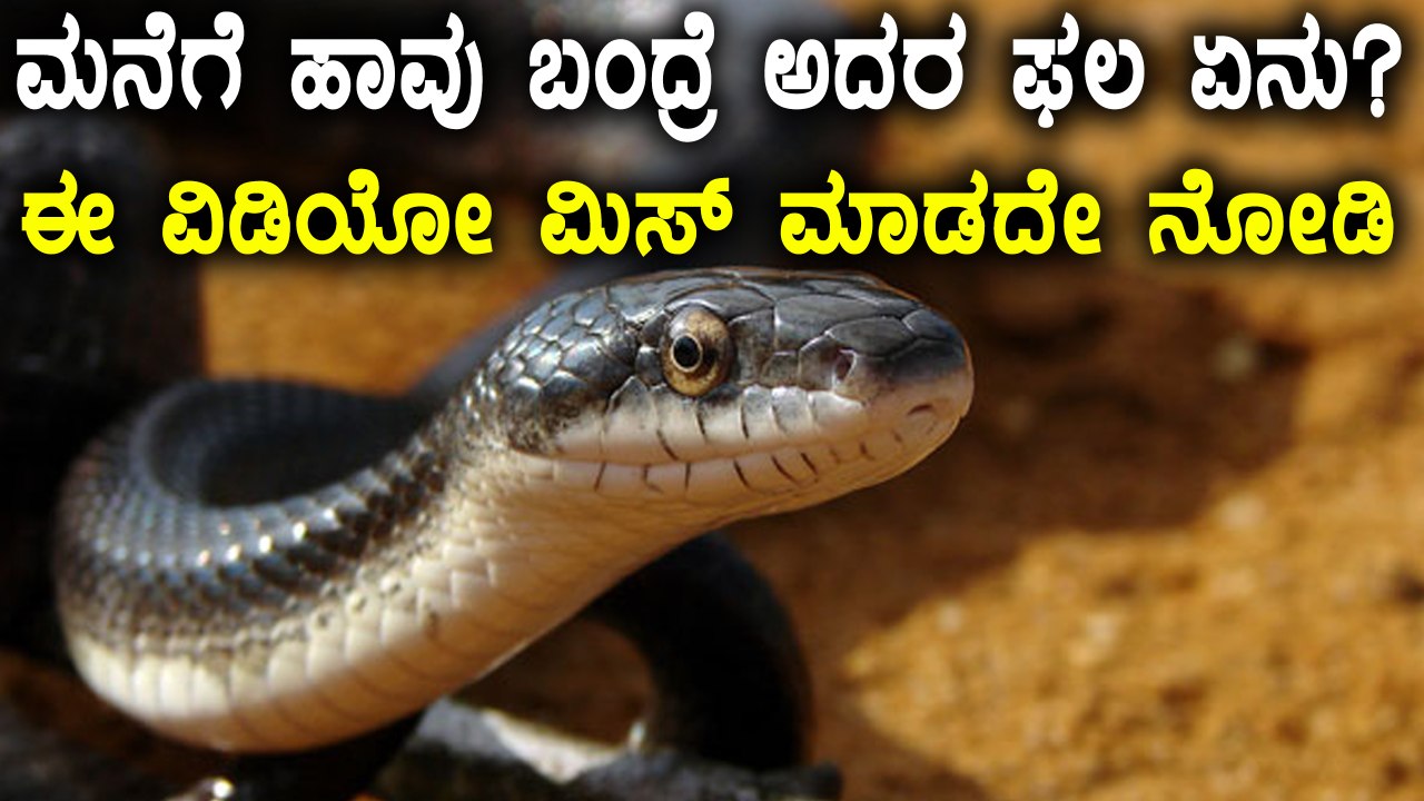 Naga Dosha, Reasons For Naga Dosha & Reason Why Snakes Come Home | Watch video