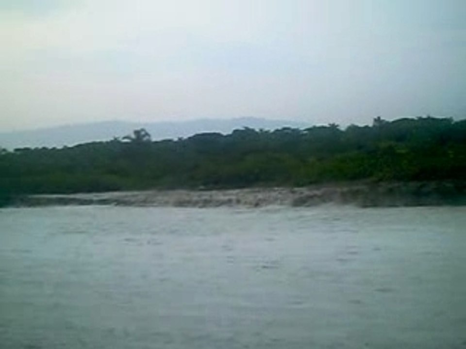 Boraceia 7