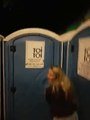 Festival-Goers Discover Secret Rave Disguised as Portaloo