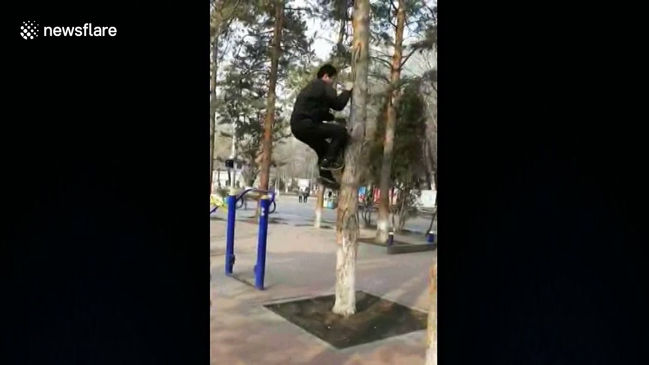 Kung fu master climbs tree in seconds