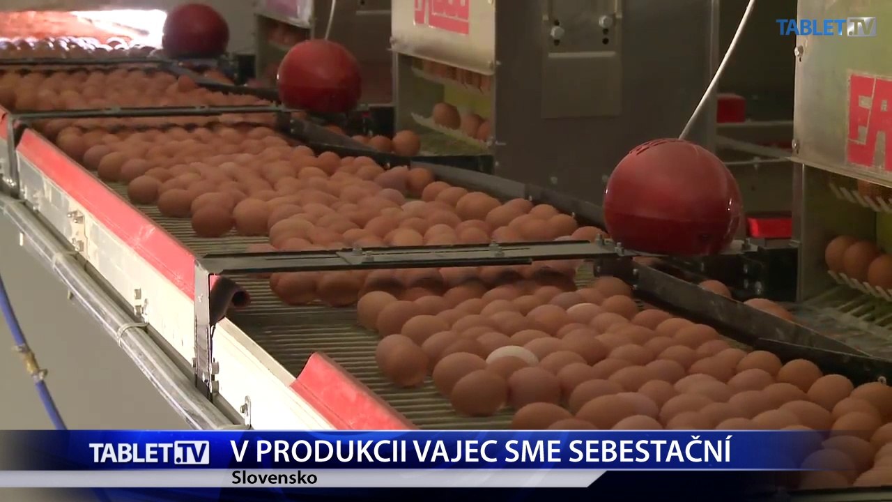 Hydinári: SR nemusí dovážať vajcia, naša produkcia prevyšuje spotrebu